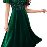 Bridesmay Formal Velvet Dress for Women 2024 Sequin Cocktail Dress with Sleeves for Fall and Winter Wedding